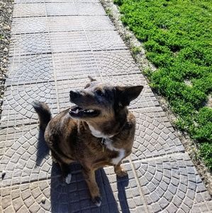 Meet your Posher, Azure